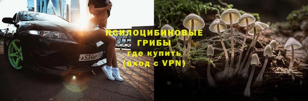 спиды Абаза