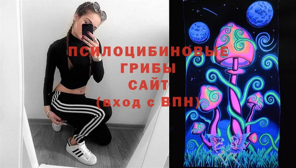 спиды Абаза