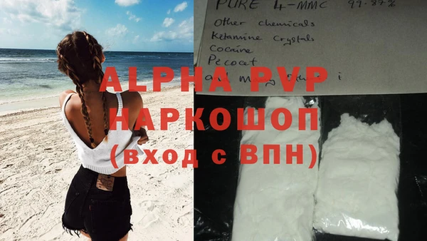 спиды Абаза