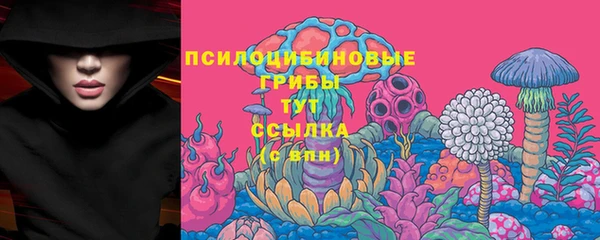метадон Ладушкин