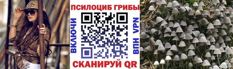 Галлюциногенные грибы Cubensis  МЕГА как войти  Чулым 